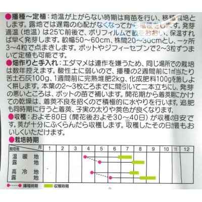 画像2: [枝豆]　おつな姫　約50粒　サカタのタネ（株）　実咲300