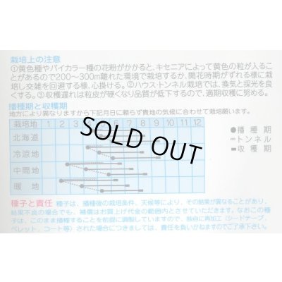 画像2: 送料無料　[とうもろこし]　シルバースノー　15ml　(株)タカヤマシード