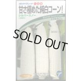送料無料　[とうもろこし]　シルバースノー　15ml　(株)タカヤマシード