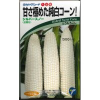 [とうもろこし]　シルバースノー　15ml　（株）タカヤマシード