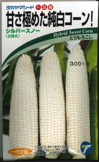 [とうもろこし]　シルバースノー　15ml　（株）タカヤマシード