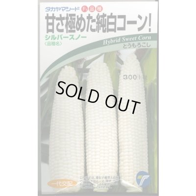 画像1: 送料無料　[とうもろこし]　シルバースノー　15ml　(株)タカヤマシード