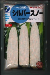 [とうもろこし]　シルバースノー　2000粒　（株）（株）タカヤマシード