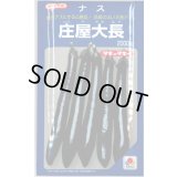 送料無料　[なす]　庄屋大長　2000粒　タキイ種苗(株)