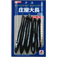 [なす]　送料無料！　庄屋大長　　2000粒　　タキイ種苗（株）