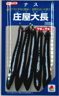 [なす]　送料無料！　庄屋大長　　2000粒　　タキイ種苗（株）