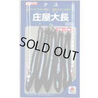 送料無料　[なす]　庄屋大長　2000粒　タキイ種苗(株)