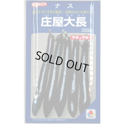 画像1: 送料無料　[なす]　庄屋大長　2000粒　タキイ種苗(株)