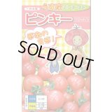 送料無料　[トマト/ミニトマト]　ピンキー　500粒　ナント種苗(株)