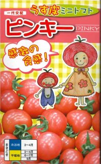 [トマト/ミニトマト]　送料無料！　ピンキー　500粒　ナント種苗（株）