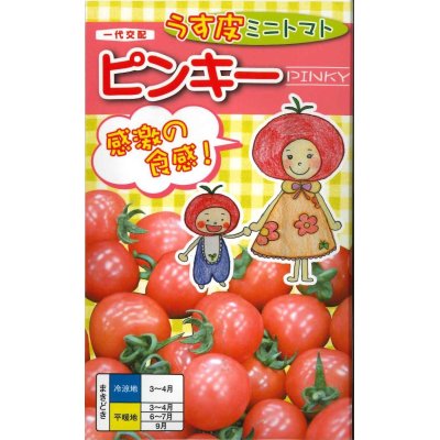 画像1: [トマト/ミニトマト]　送料無料！　ピンキー　500粒　ナント種苗（株）