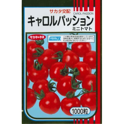 画像1: [トマト/ミニトマト]　送料無料！　キャロルパッション　1000粒　サカタのタネ（株）