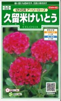 送料無料　花の種　久留米けいとう　切り花用アーリーローズ　約143粒　(株)サカタのタネ　実咲250（026236）