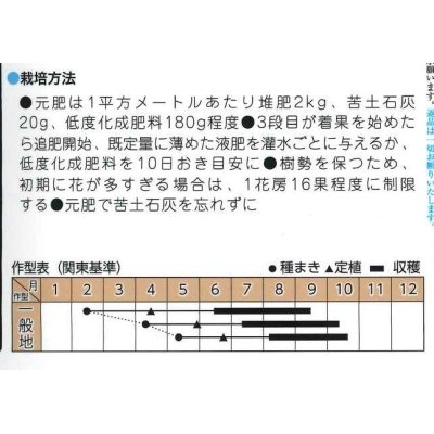 画像2: トマト種　フラガール　オランジェ　8粒　