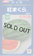 送料無料　[スイカ]　大玉スイカ　紅まくら　200粒　タキイ種苗(株)