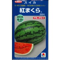 送料無料 [スイカ] 大玉スイカ 紅まくら 200粒 タキイ種苗(株)