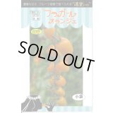 送料無料　トマト種　フラガール　オランジェ　8粒