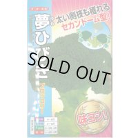 送料無料　[ブロッコリー]　夢ひびき　20ml　ナント種苗(株)