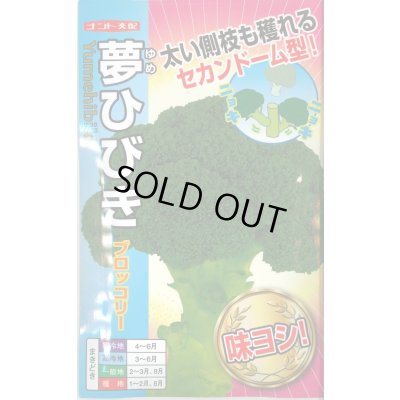 画像1: 送料無料　[ブロッコリー]　夢ひびき　20ml　ナント種苗(株)