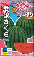 送料無料　[スイカ]　小玉スイカ　愛娘さくら　7粒　ナント種苗(株)
