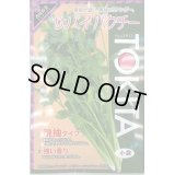 送料無料　[ハーブの種]　コリアンダー　サバイパクチー　10ml　トキタ種苗