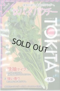送料無料　[ハーブの種]　コリアンダー　サバイパクチー　10ml　トキタ種苗