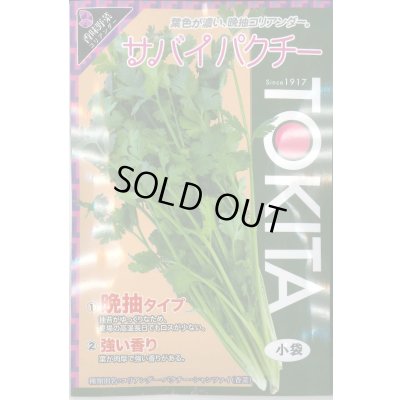 画像1: 送料無料　[ハーブの種]　コリアンダー　サバイパクチー　10ml　トキタ種苗