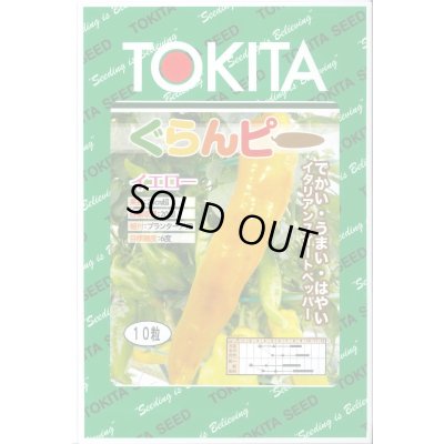 画像1: [パプリカ] ぐらんピー イエロー 10粒 トキタ種苗(株)