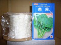 [シーダー種子]　小松菜　楽天　1粒×5cm間隔