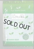 送料無料　[かぼちゃ]　ミニカボチャ　パンプキッズ　500粒　カネコ種苗（株）