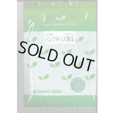送料無料　[かぼちゃ]　ミニカボチャ　パンプキッズ　500粒　カネコ種苗（株）