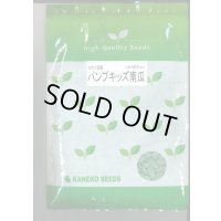 送料無料　[かぼちゃ]　ミニカボチャ　パンプキッズ　500粒　カネコ種苗（株）
