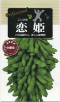 送料無料　[枝豆]　恋姫　70ml(およそ120粒)　雪印種苗(株)