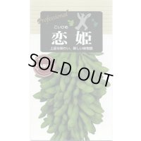 送料無料　[枝豆]　恋姫　70ml(およそ120粒)　雪印種苗(株)