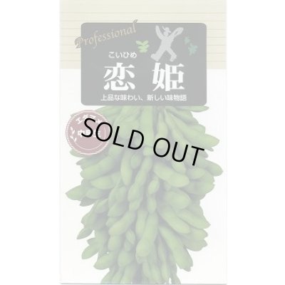 画像1: 送料無料　[枝豆]　恋姫　70ml(およそ120粒)　雪印種苗(株)