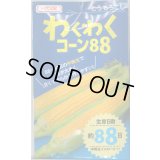 送料無料　[とうもろこし]　わくわくコーン88　100粒　カネコ種苗（株）