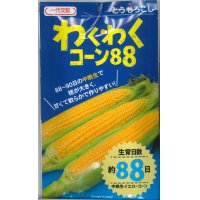 [とうもろこし]　わくわくコーン88　100粒　カネコ交配