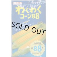 送料無料　[とうもろこし]　わくわくコーン88　100粒　カネコ種苗（株）