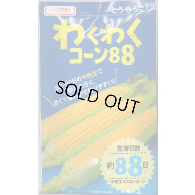画像1: 送料無料　[とうもろこし]　わくわくコーン88　100粒　カネコ種苗（株）