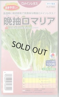 [レタス] ロメインレタス 晩抽ロマリア ペレット種子100粒 タキイ種苗(株)