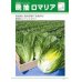 画像3: [レタス]　ロメインレタス　晩抽ロマリア　ペレット種子１００粒　タキイ種苗（株） (3)