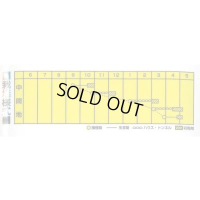 画像2: 送料無料　[小松菜]　いなせ菜　20ml　カネコ種苗（株）
