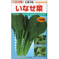 [小松菜]　いなせ菜　 20ｍｌ 　カネコ交配