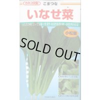 送料無料　[小松菜]　いなせ菜　20ml　カネコ種苗（株）