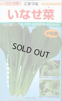 送料無料　[小松菜]　いなせ菜　20ml　カネコ種苗（株）