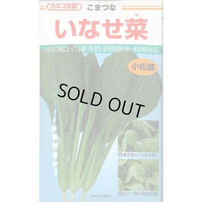 画像1: 送料無料　[小松菜]　いなせ菜　20ml　カネコ種苗（株）