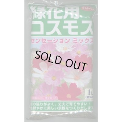 画像1: [景観形成作物]　緑花用コスモス・センセーションミックス　1L　(株)サカタのタネ