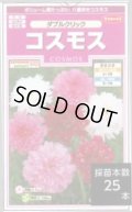 送料無料　花の種　コスモス　ダブルクリック　約36粒　(株)サカタのタネ　実咲350（026109）