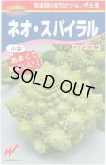送料無料　[カリフラワー]　ネオ・スパイラル　20粒　渡辺農事