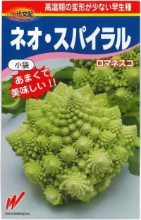 [カリフラワー]　ネオ・スパイラル　1000粒　渡辺農事（株）